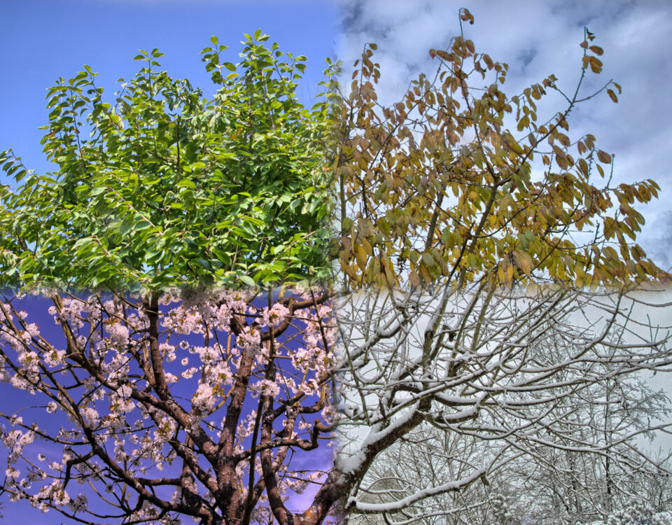 Schedule Seasonal Maintenance Checks: Stay Ahead of Home Repairs